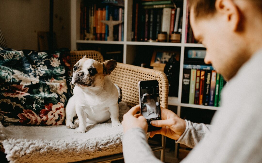 Insta-Famous Dogs: 11 Famous Instagram Pets’ Tales
